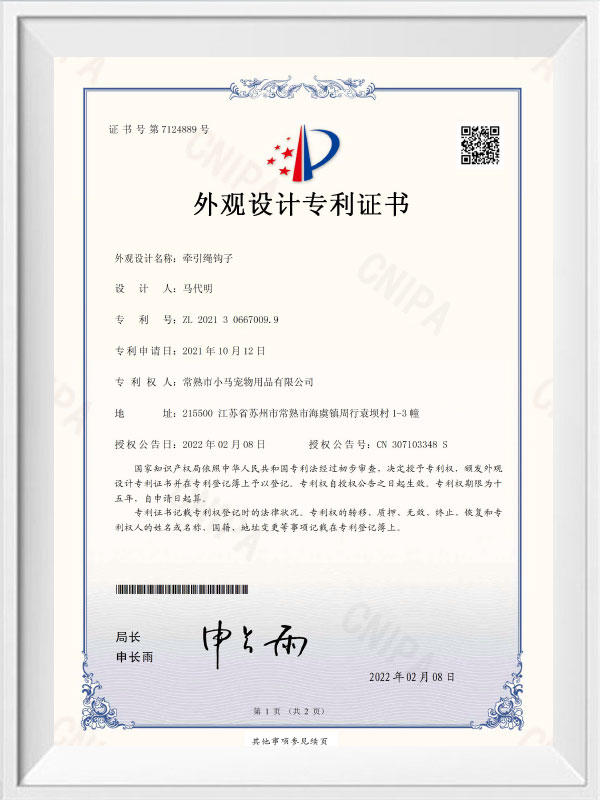 Hook patent certificate