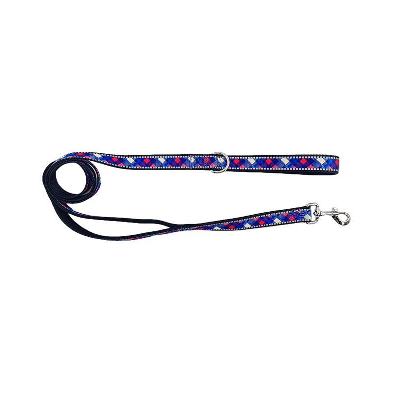 Dog Reflective Leads With Strong Padded Handle for Walking Running