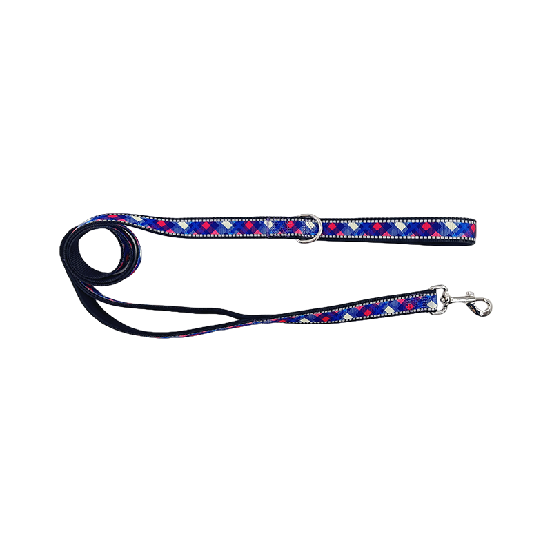 Dog Reflective Leads With Strong Padded Handle for Walking Running