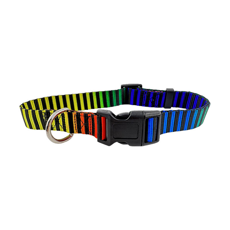 High Quality Nylon Rainbow Dog Webbing Collars